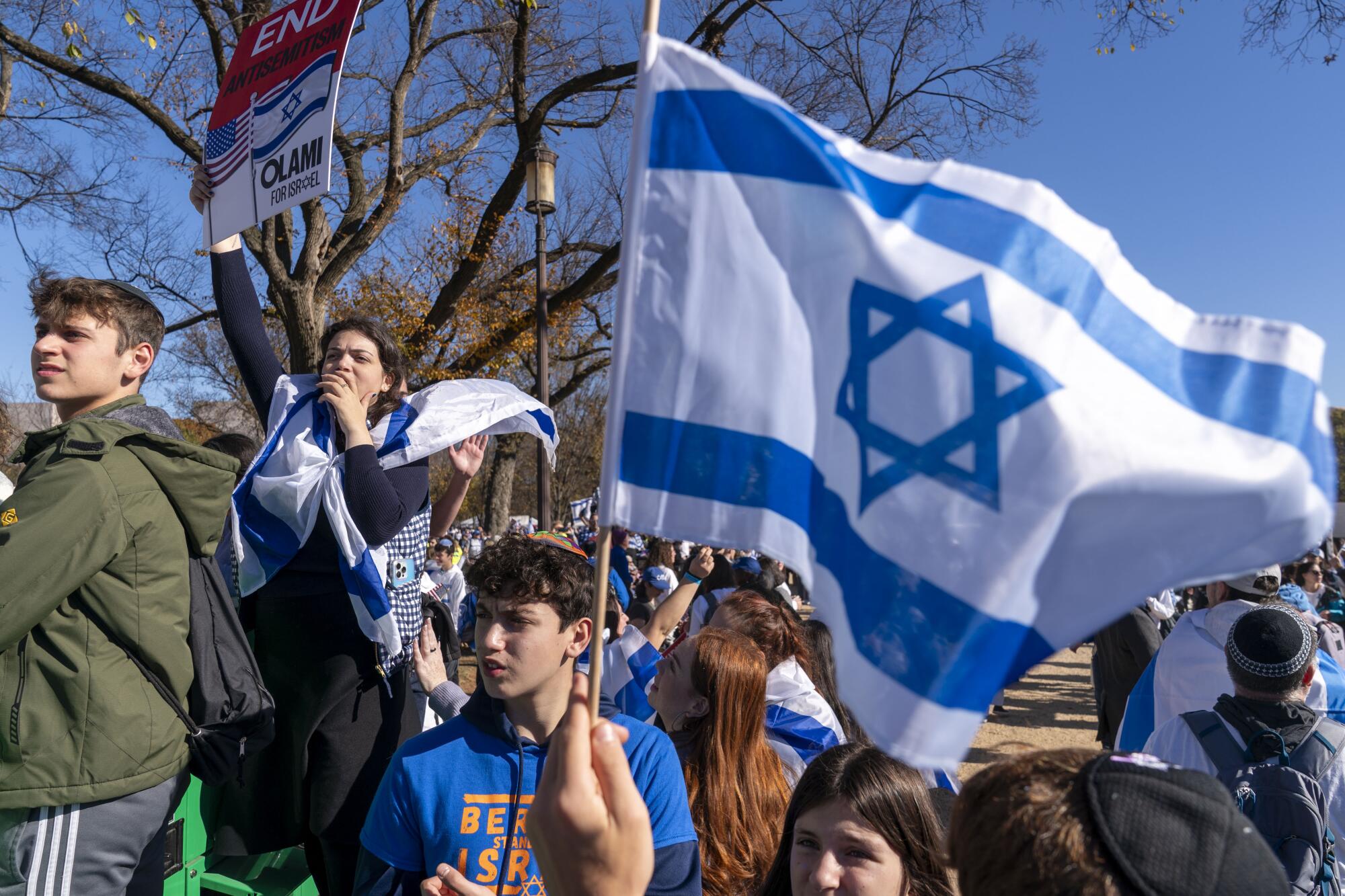 A person holding up a blue-and-white flag in a crowd of people with similar flags