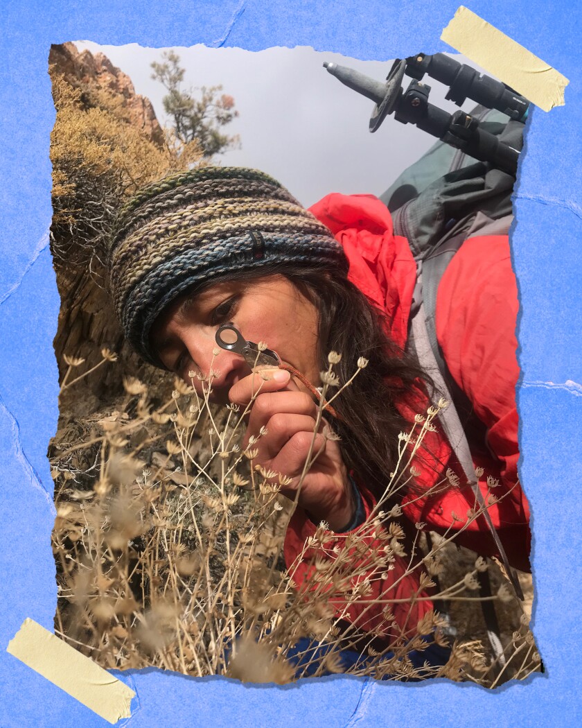 A person leans in to look closely at a plant.