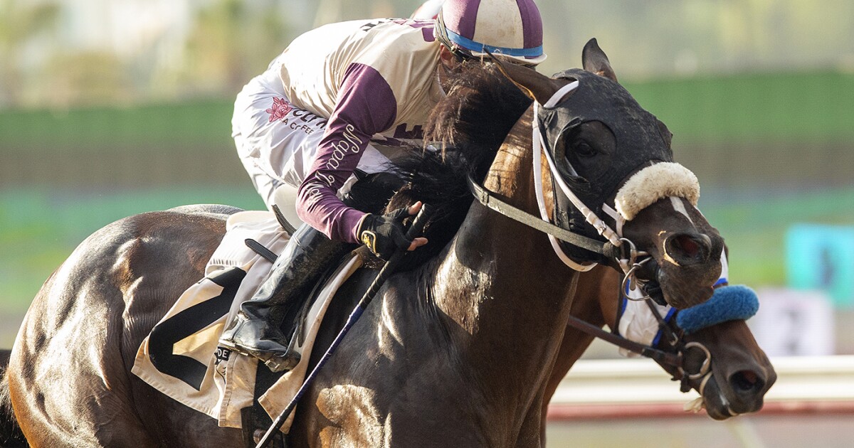 Going Global makes her return to Del Mar
