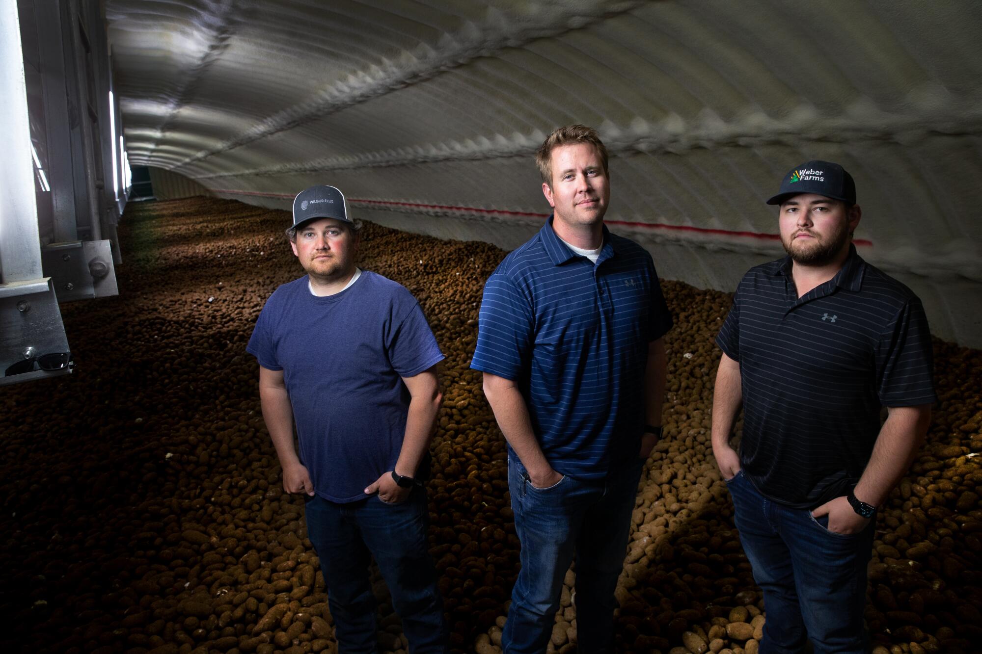 Weber Family Farms members and managers Deven Johnson, left, Josh Lyebert and Adam Weber stand on $1.1 million worth of ready-to-eat russet potatoes in one of the company's refrigerated storage bays in Quincy, Wash.
