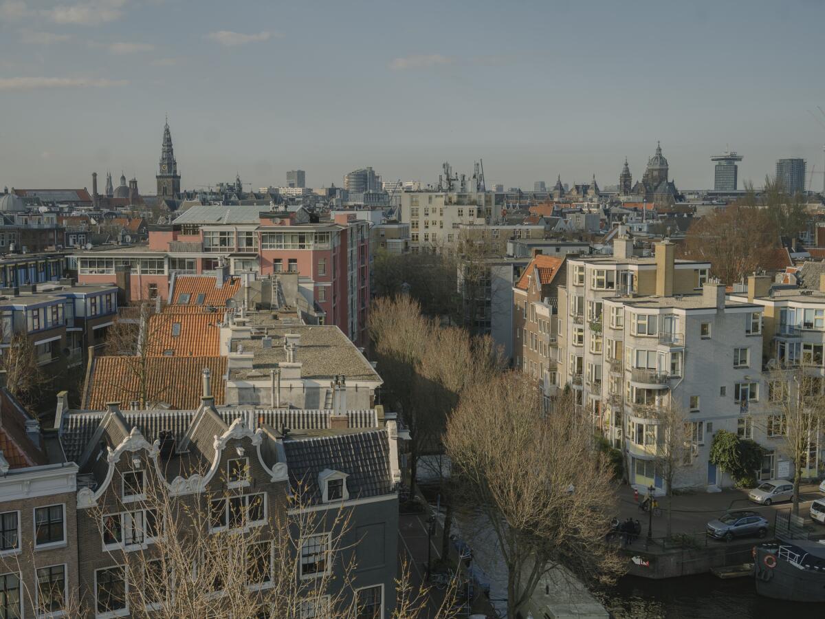 A view over rooftops of modern and traditional Dutch buildings, a spire and tall buildings visible in the distance