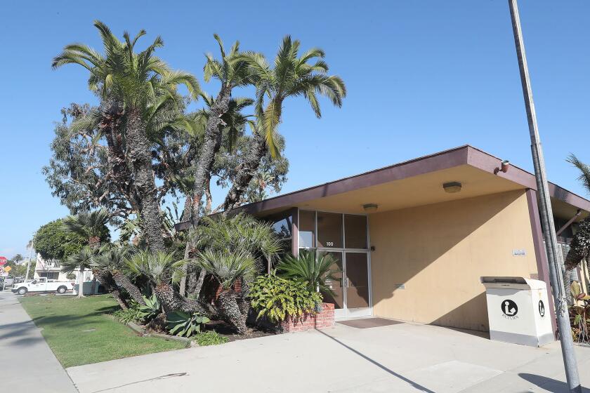 A potential construction project involving the Balboa Branch Library, may once again threaten the future of the Eucalpytus tree that holds blue heron nests behind the library in Newport Beach.