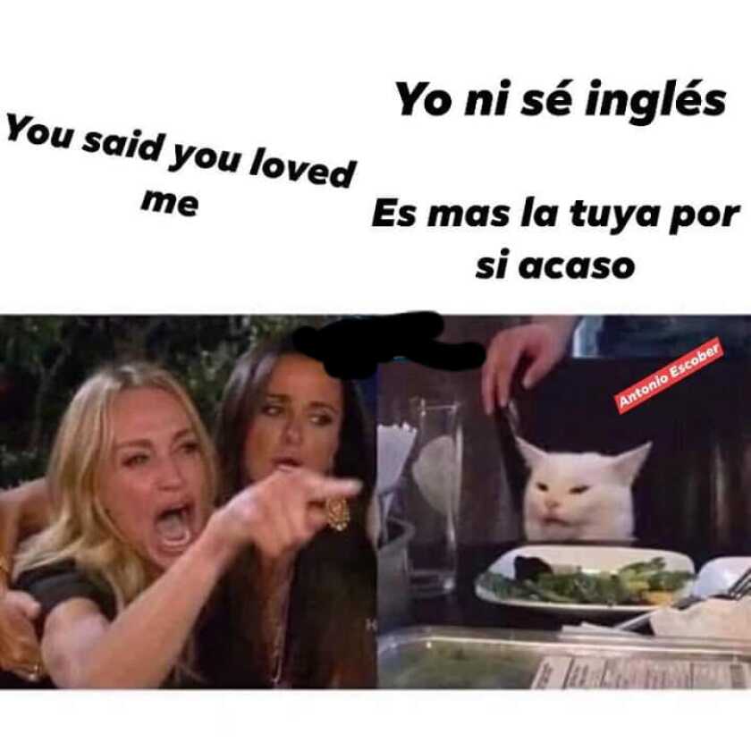 Este Es El Origen De Los Memes Del Gato Los Angeles Times
