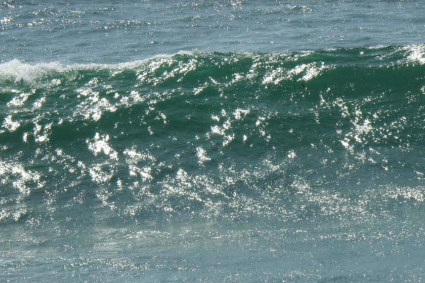 Wave reached four feet on Saturday at Del Mar.