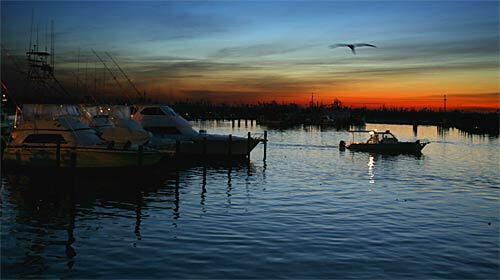 A boat leaves the Venice Marina at sunrise for open waters. The early bird gets the worm. Or, in this case, the early-rising sports fisherman gets the best spot and may bring in an impressive haul.