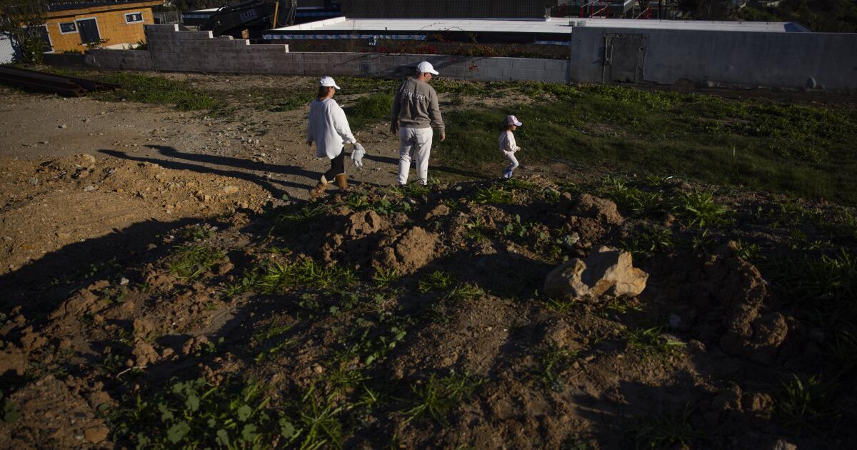 L.A. fire victims say state regulators ignored complaints about State Farm L.A. fire victims say state regulators ignored complaints about State Farm