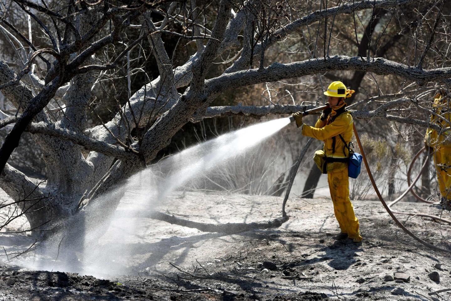 Los Angeles County firefighter Jeffrey Poster douses hotspots along Mulholland Highway in Calabasas.