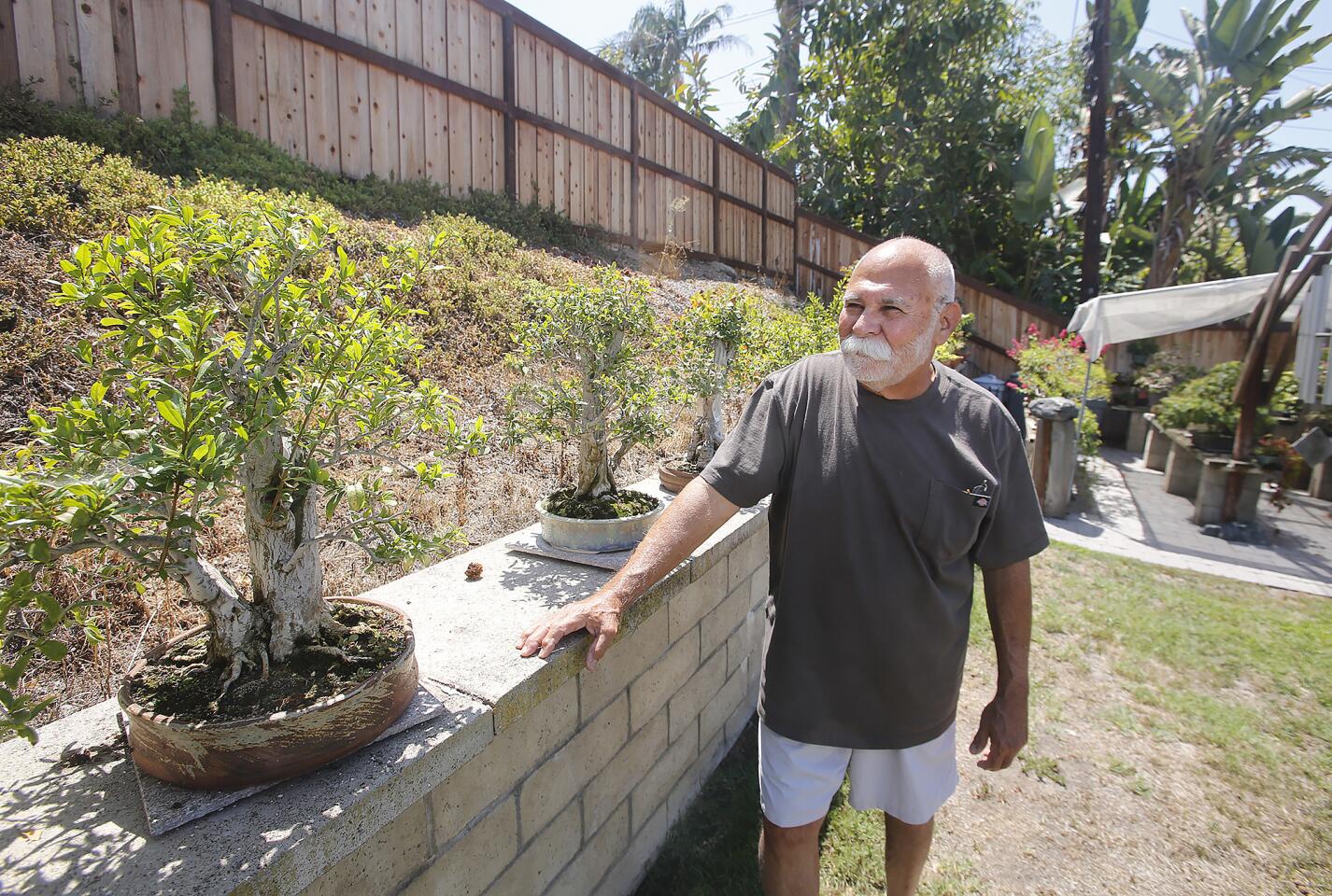 Manny Marinez and his backyard bonsai tree gallery