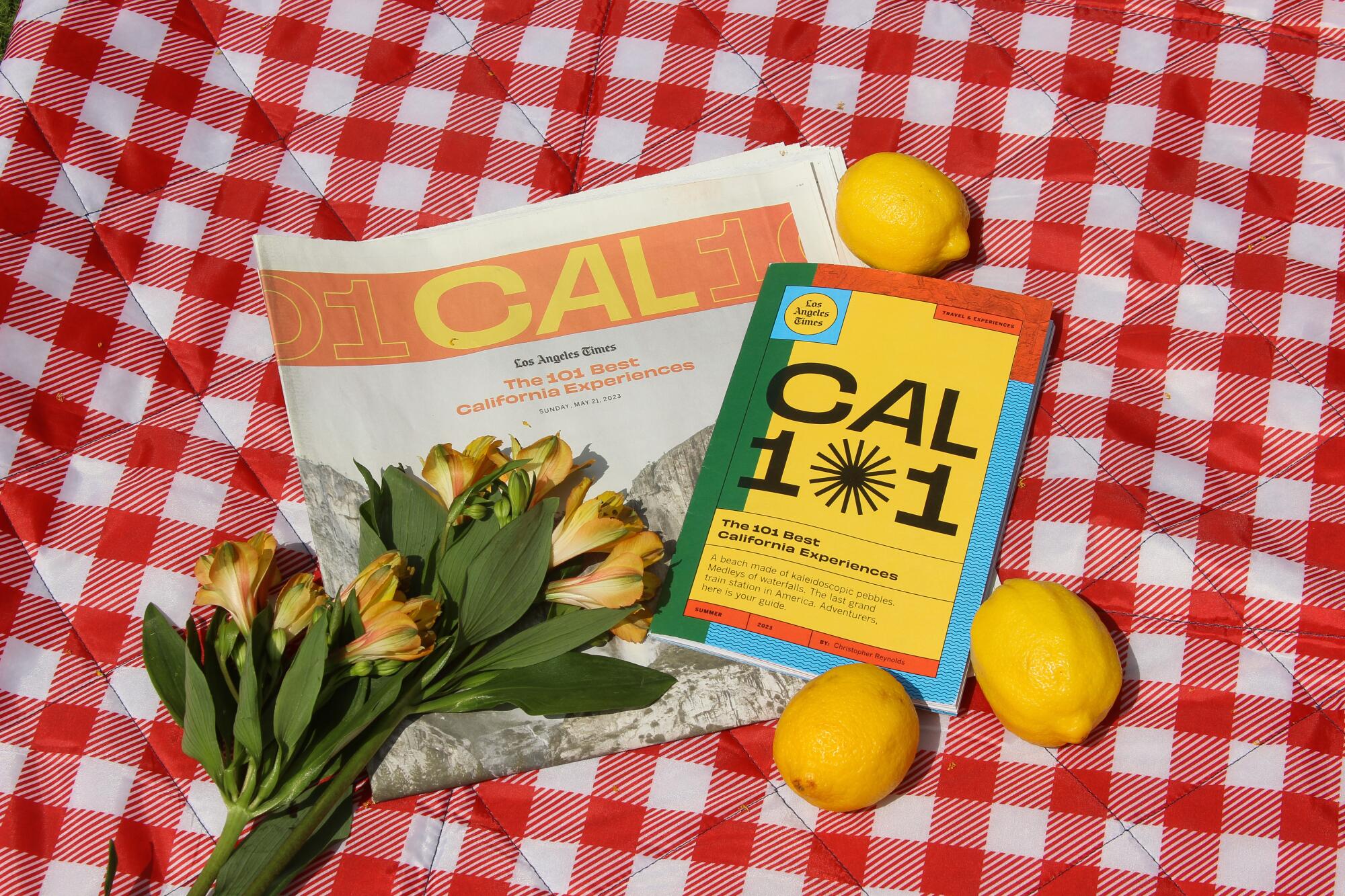 A display of the CAL101 news print section and zine with flowers and lemons.