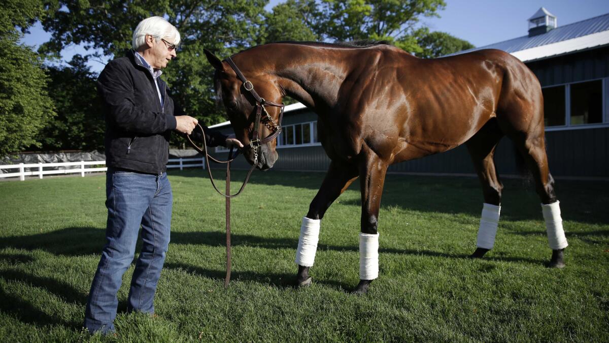 Trainer Bob Baffert stands next to Triple Crown winner American Pharoah at Belmont Park in Elmont, N.Y., on June 7, 2015.