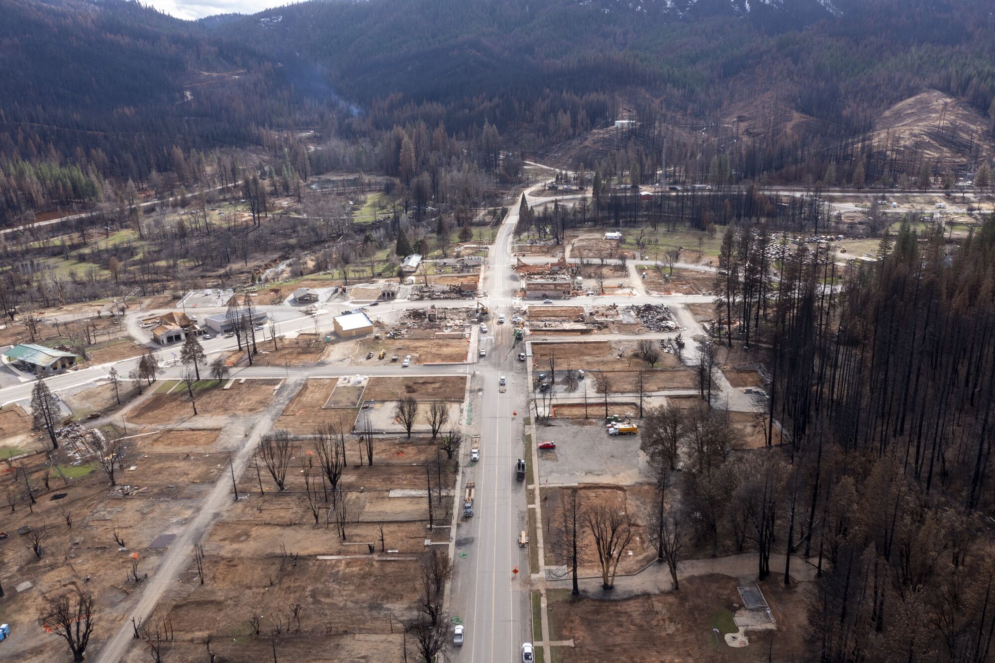 Scorched trees and empty lots in the streets of Greenville, Calif.
