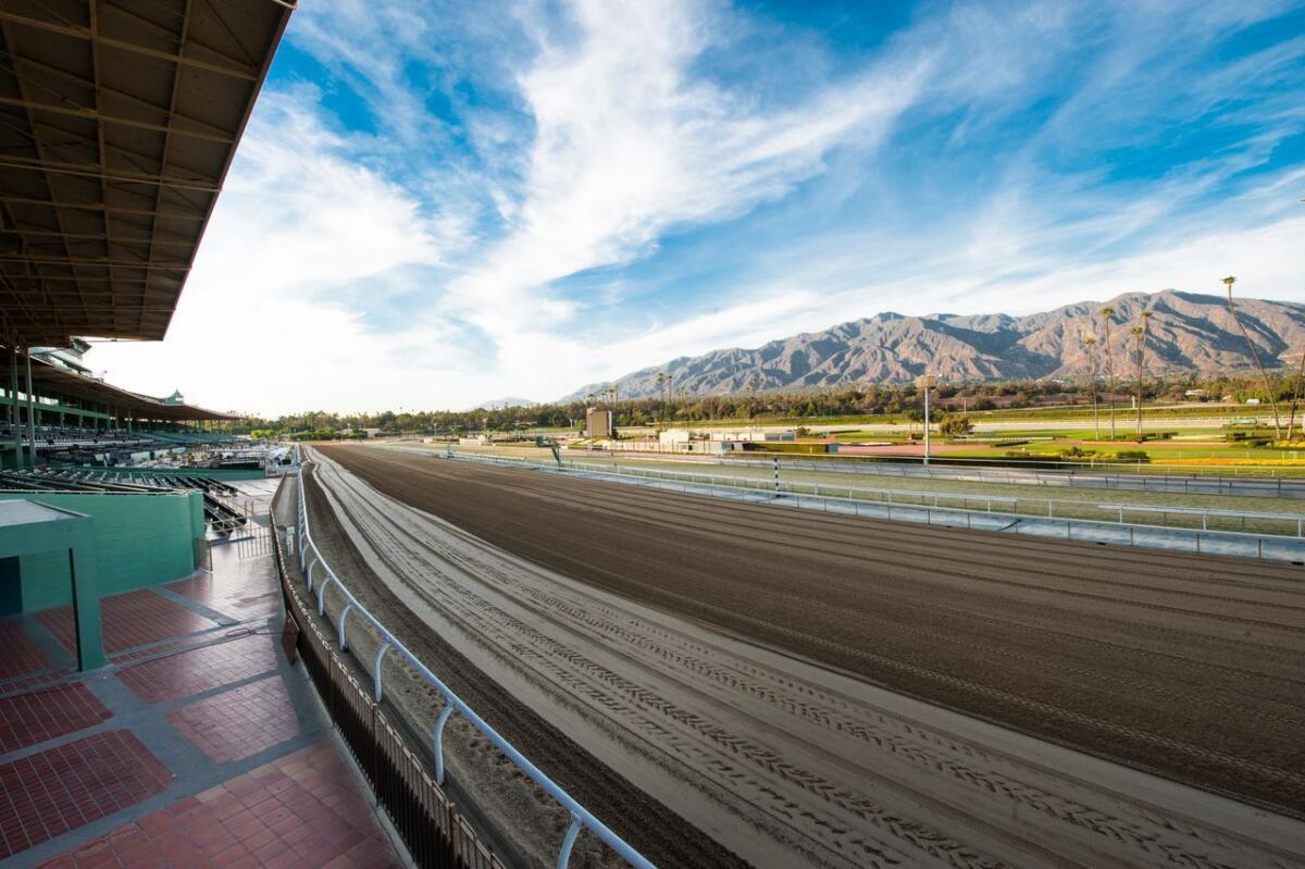 The first turn at Santa Anita Park, the racetrack that ended its meet Sunday.