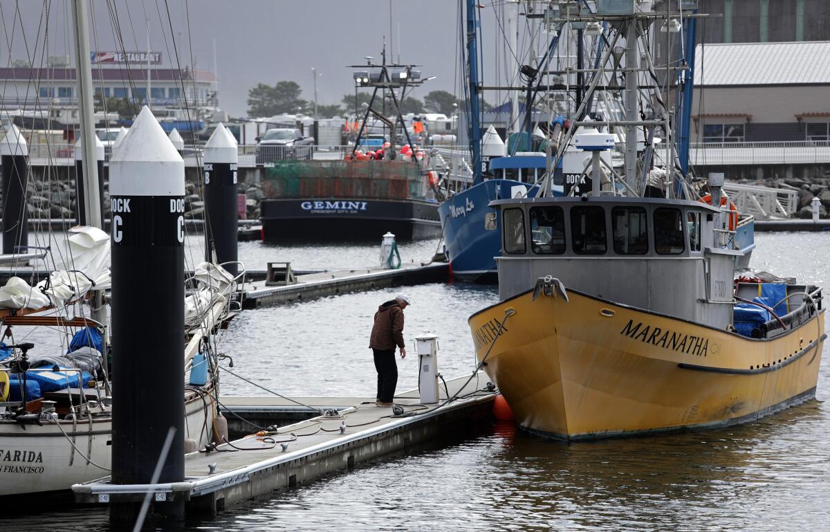 Docks in Crescent City Harbor