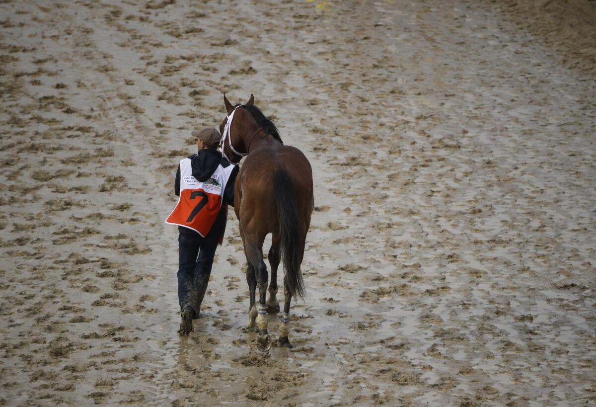 Maximum Security is walked off the track May 4, 2019, after being disqualified in the Kentucky Derby.
