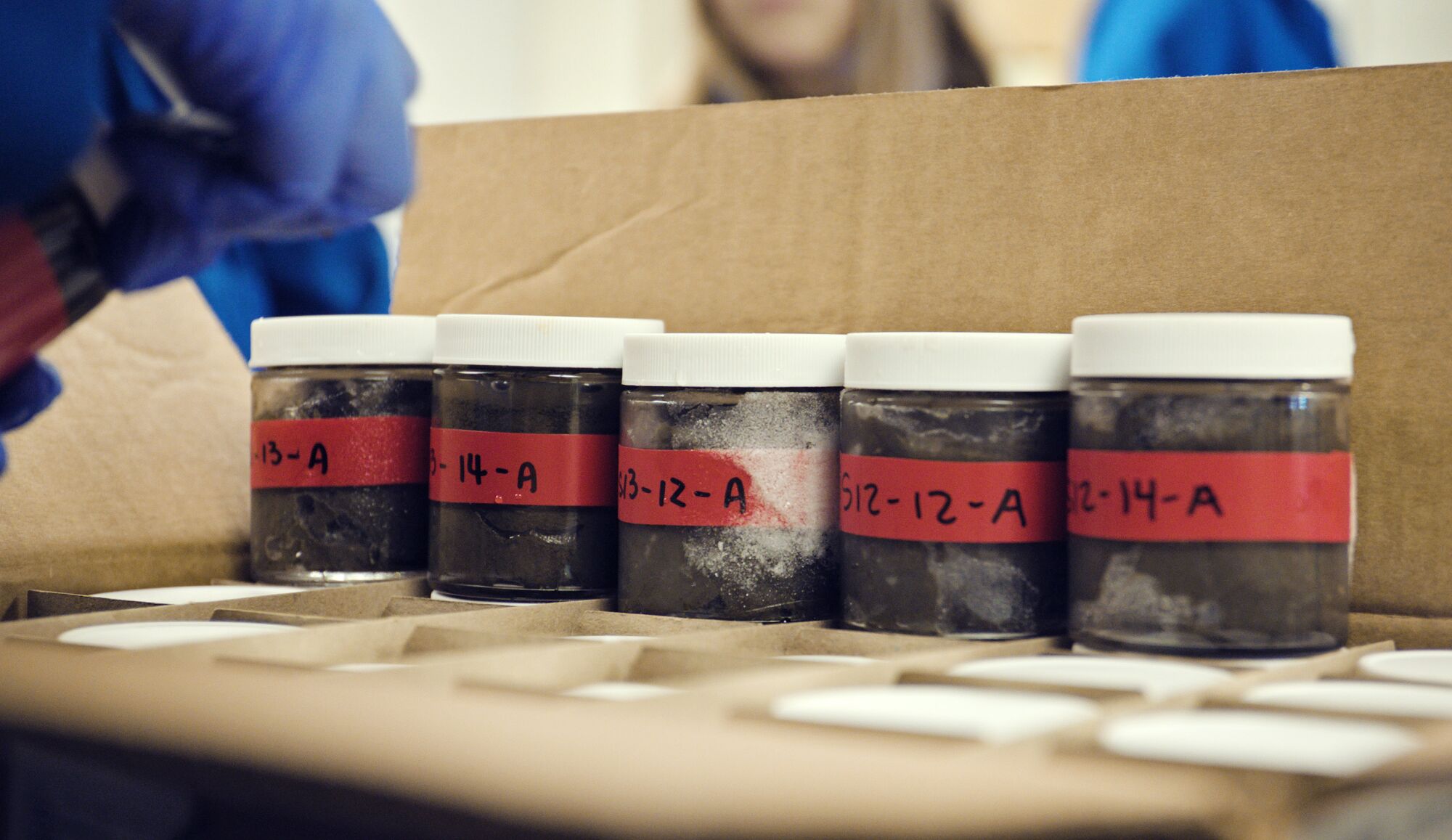 Seafloor samples are organized into multiple jars in David Valentine's lab.
