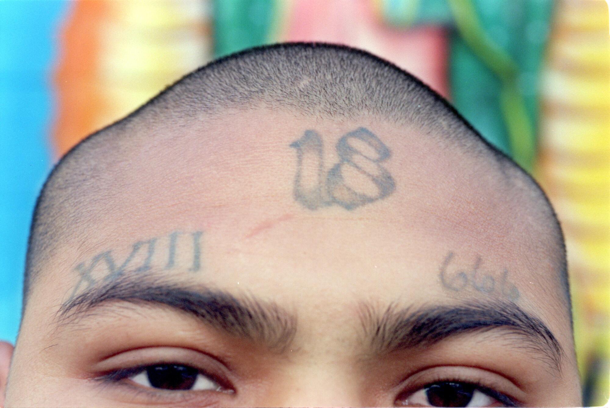 A gang member with a buzz cut is shown from the eyes up with tattoos including "18." 