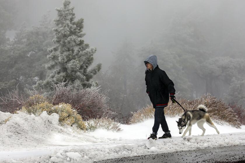 Riri Nguyen walks his dog after recent snowfall in Wrightwood, CA, on Dec. 25, 2021.
