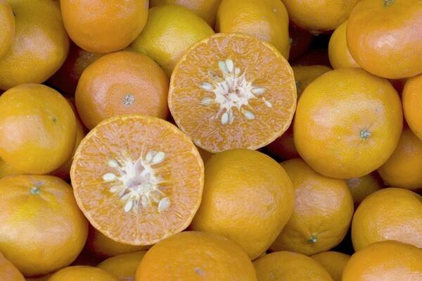 Encore mandarins
