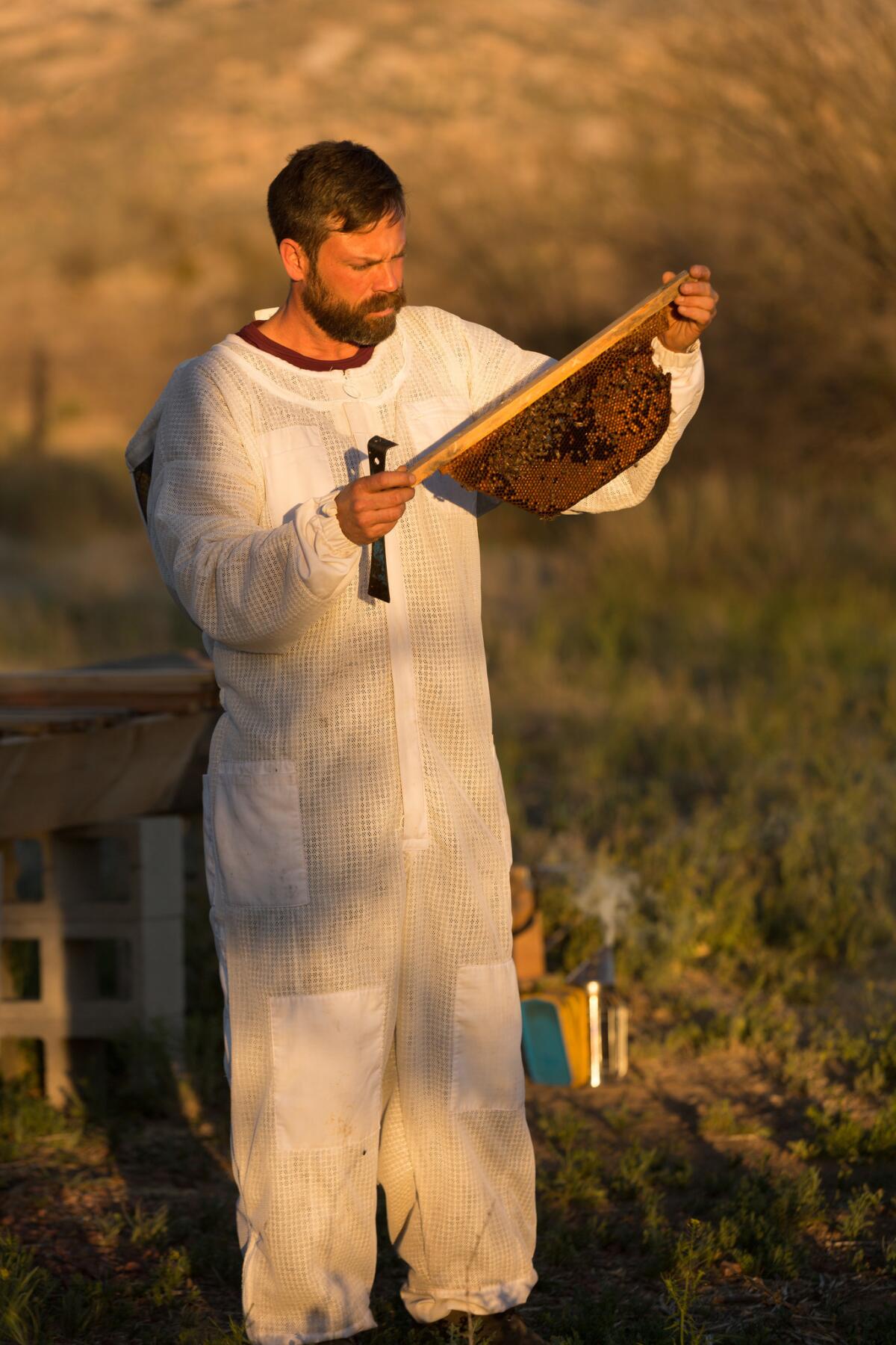 Miraval Arizona resident beekeeper Noel Patterson cares for thousands of bees at the Tucson property.