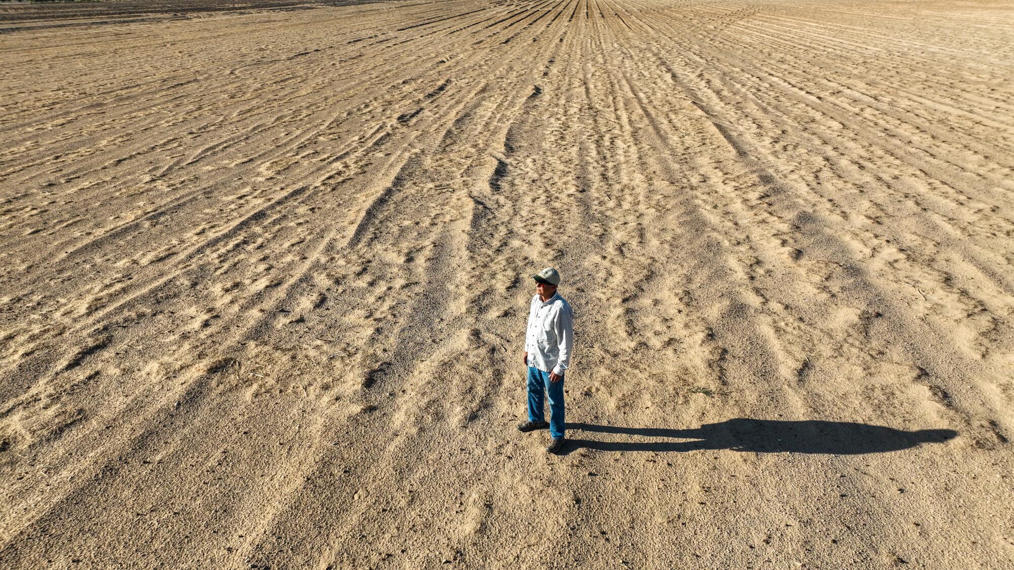 Ralph Strahm stares out at a barren former carrot farm that will become a solar project.