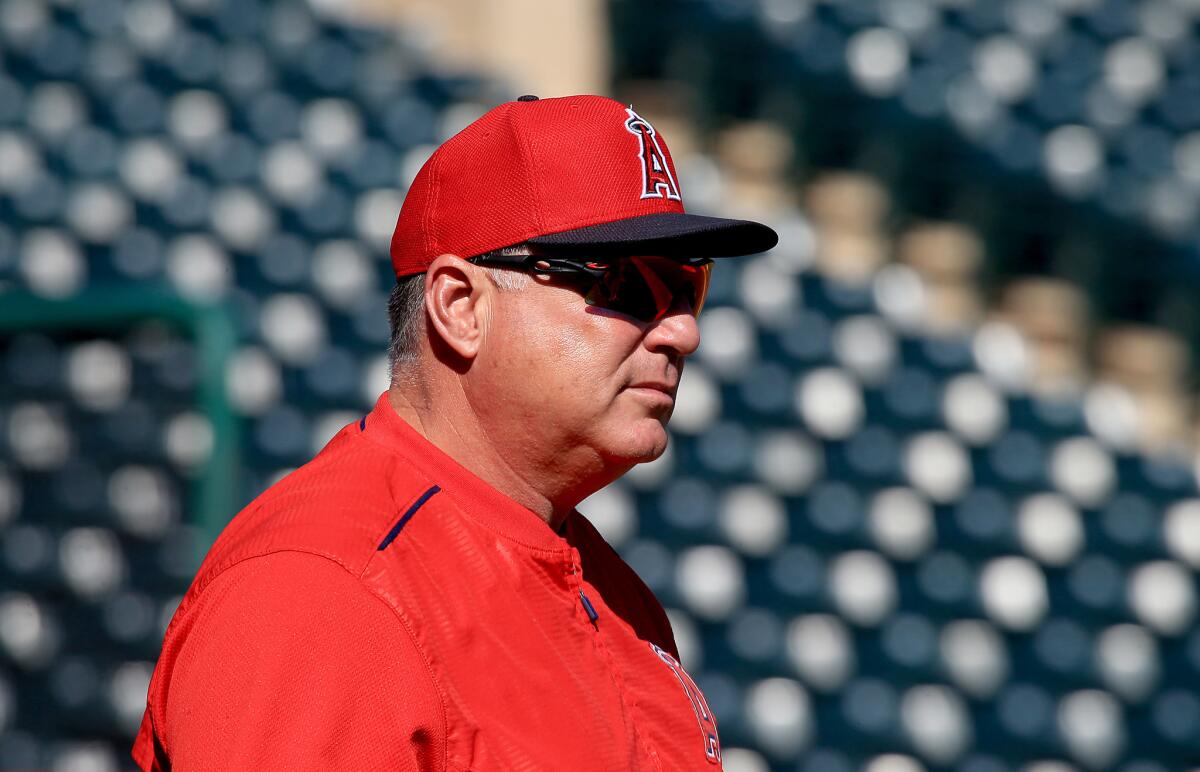 Angels Manager Mike Scioscia watches his players during spring training on March 5.
