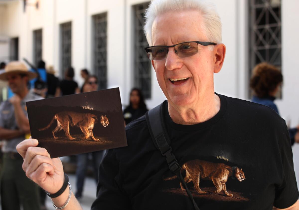 A man poses with a photo of a mountain lion prowling past the Hollywood sign, and the same image is on his shirt