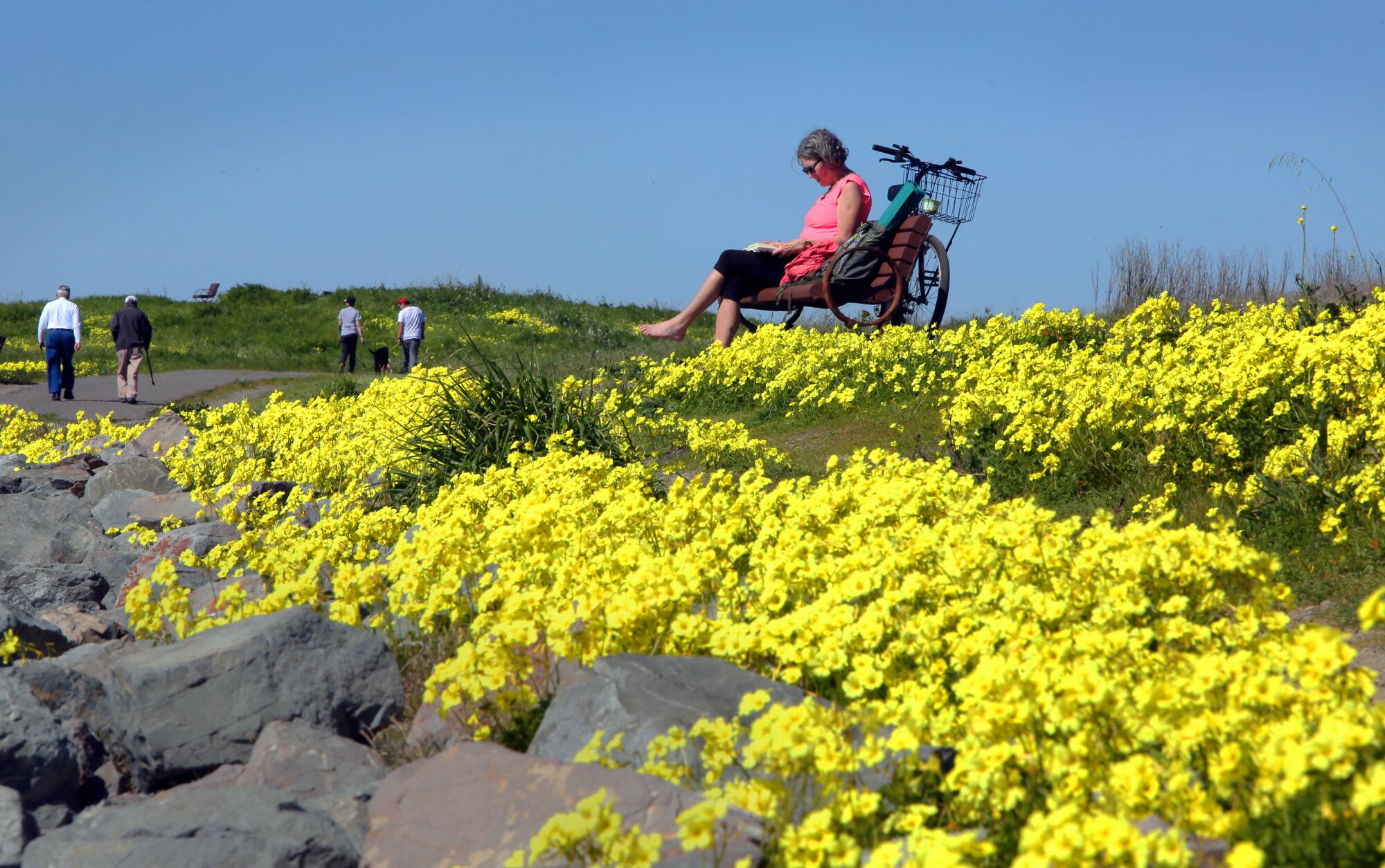A woman sits on a park bench among yellow flowers.