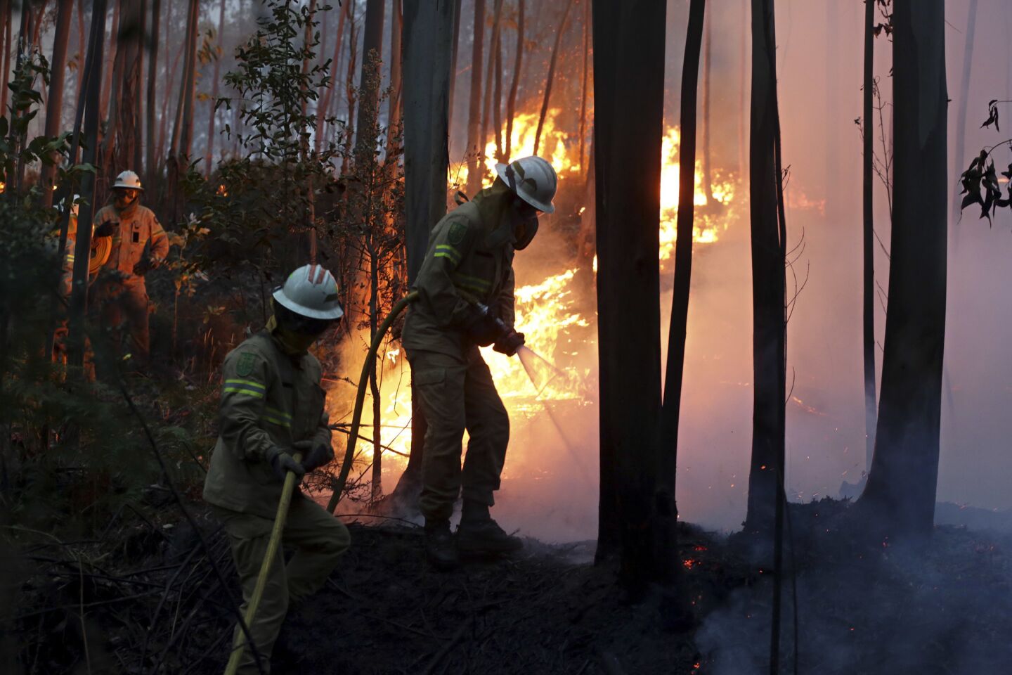 Firefighters battle flames near the village of Avelar, in central Portugal, at sunrise Sunday.