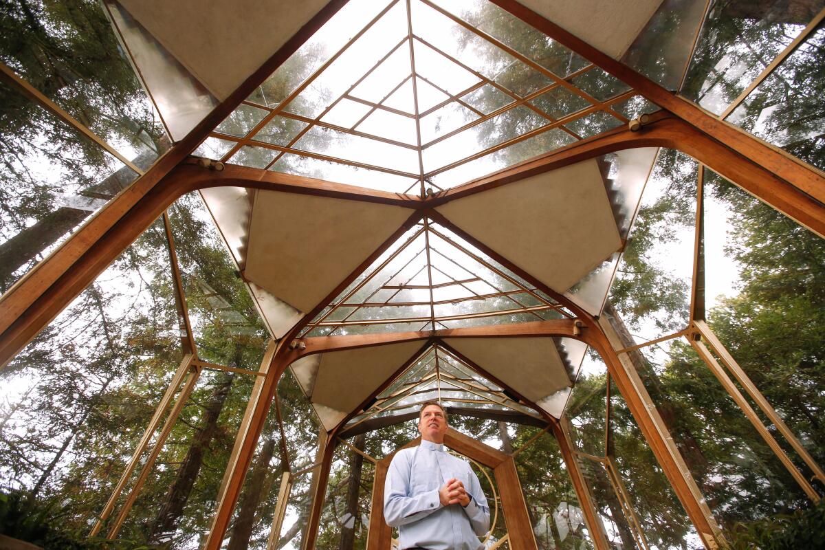 A portrait of a man from a low angle, with a backdrop of a glass-and-wood ceiling and trees outside