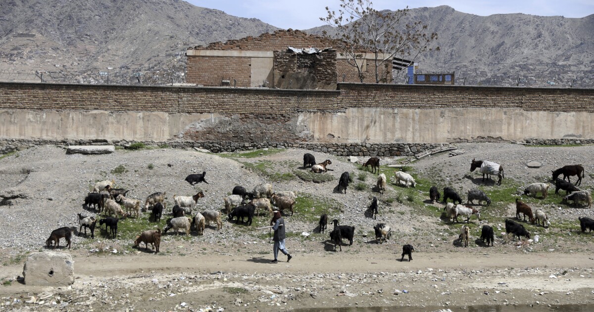 Biden plans to withdraw troops from Afghanistan by Sept. 11 Biden plans to withdraw troops from Afghanistan by Sept. 11