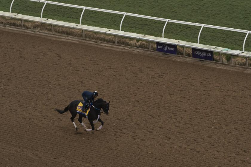 An exercise rider rides Max Player during morning workouts at Del Mar racetrack.