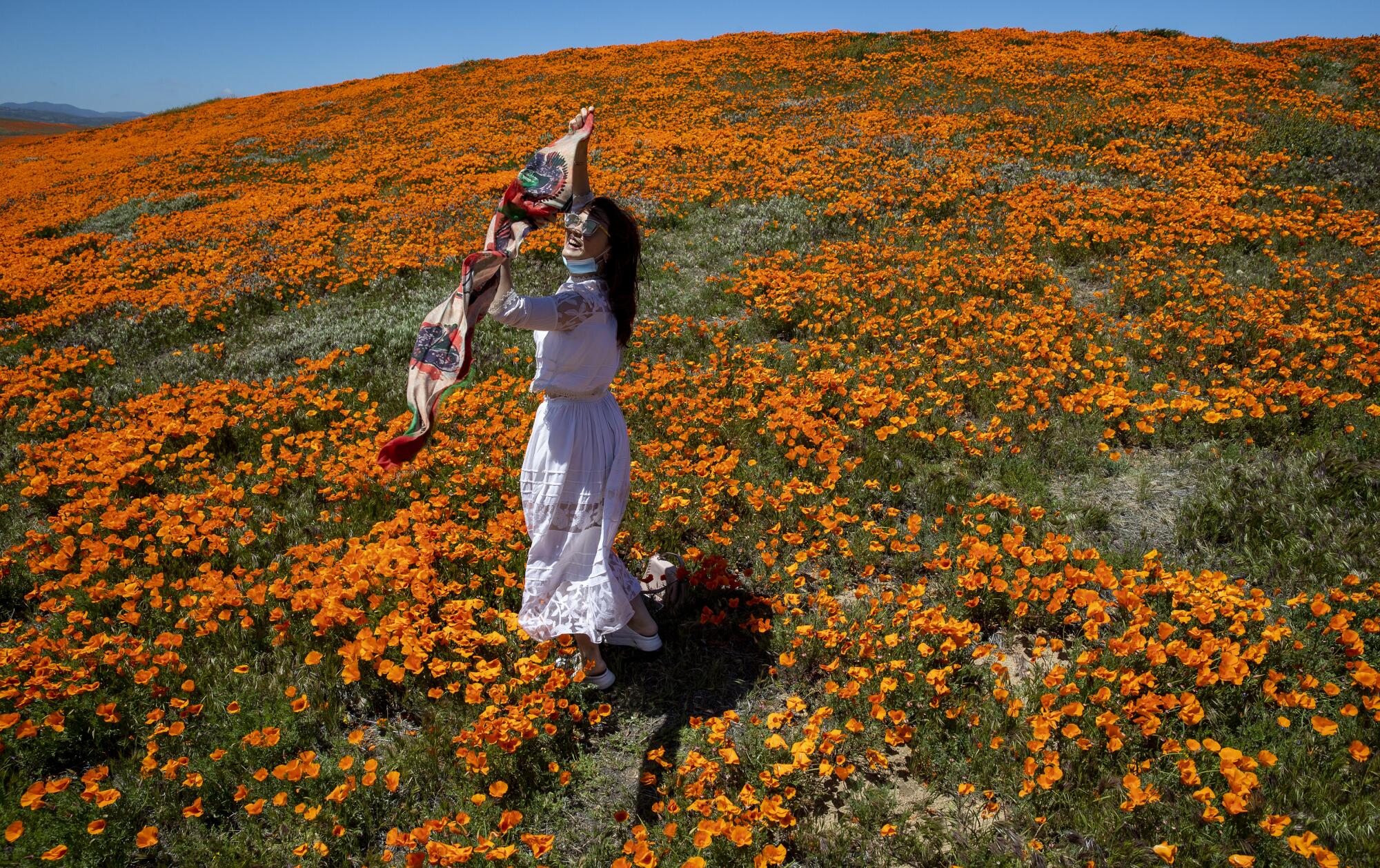  Vivi Zhao of Santa Monica dances among blooming California poppies in Lancaster outside of the perimeter of the California Poppy State Natural Reserve.