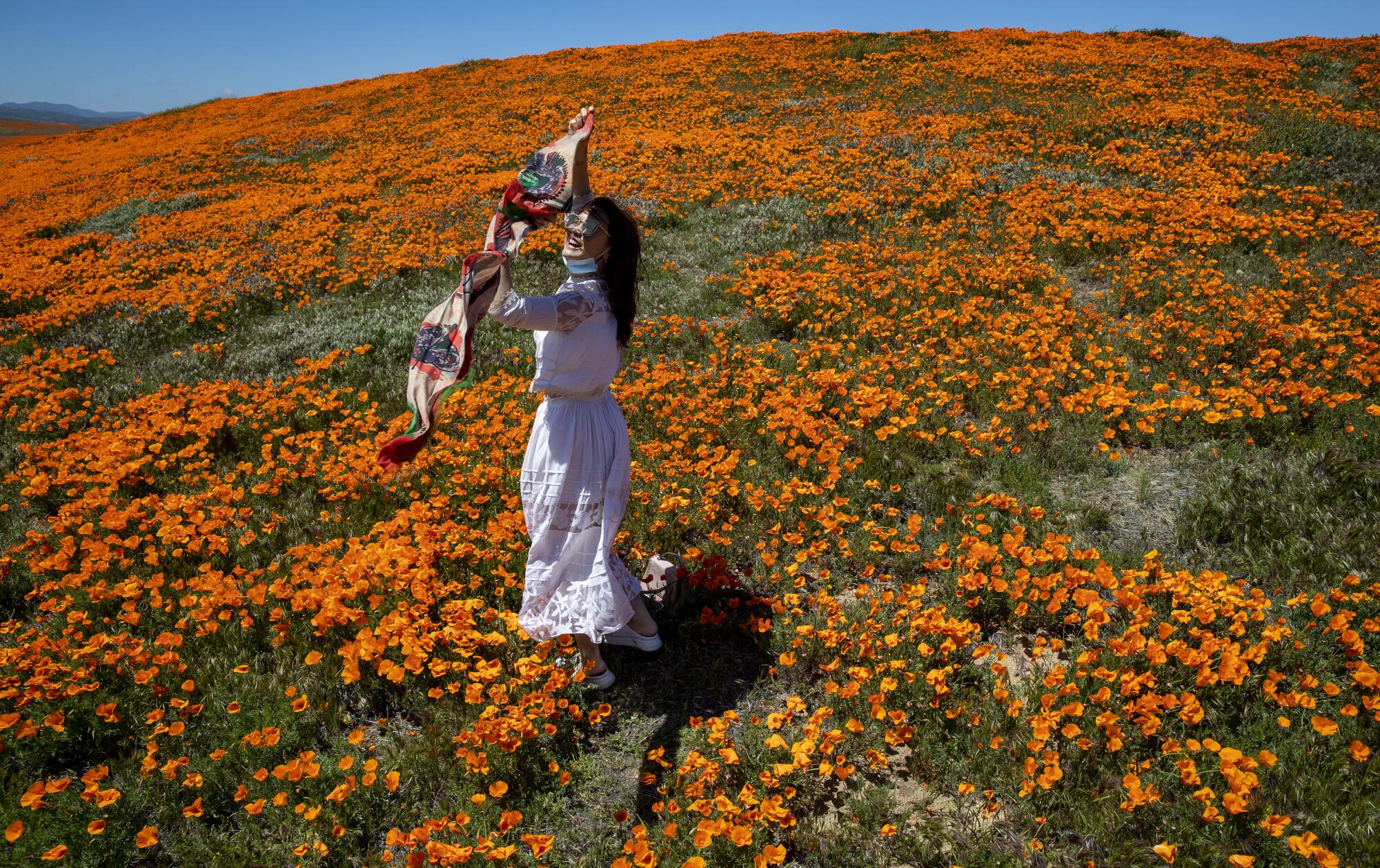 Vivi Zhao of Santa Monica dances among blooming California poppies in Lancaster outside of the perimeter of the California Poppy State Natural Reserve.