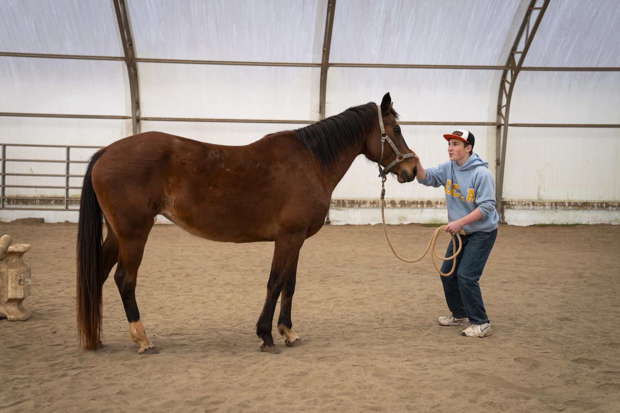 A teenage boy works with a horse in a ring.