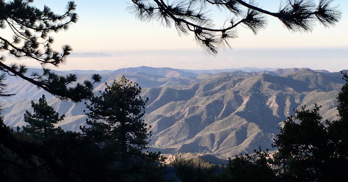 Among the pines in Pine Valley, CA