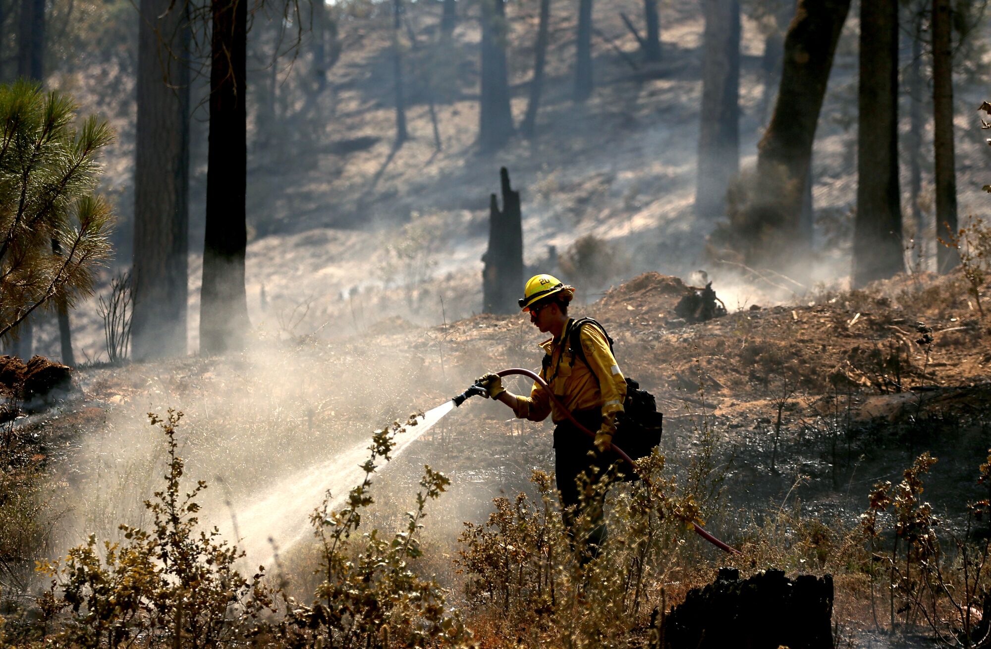 A firefighter sprays water on a smoldering forest floor.