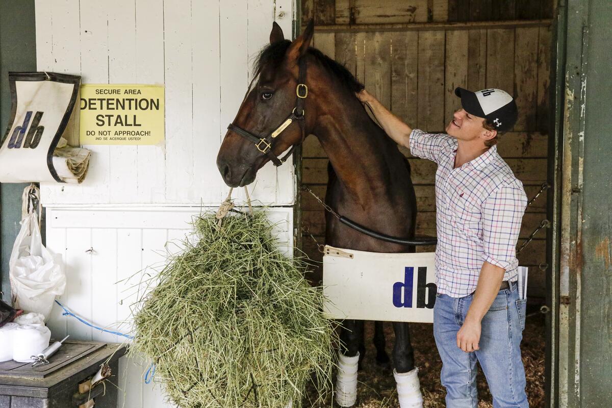 Trainer Dan Blacker attends to his horse, Hackberry, in 2019 at a Santa Anita media event.