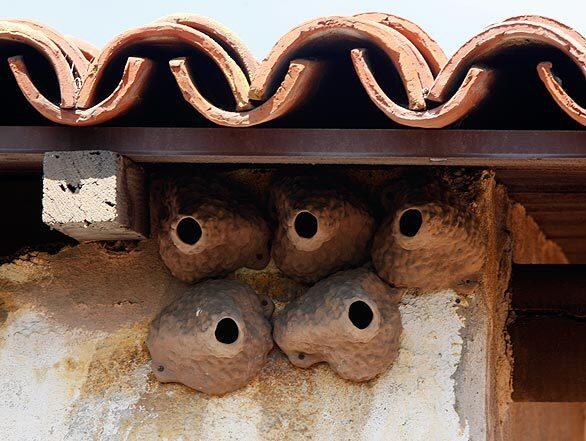 Ceramic swallow's nests