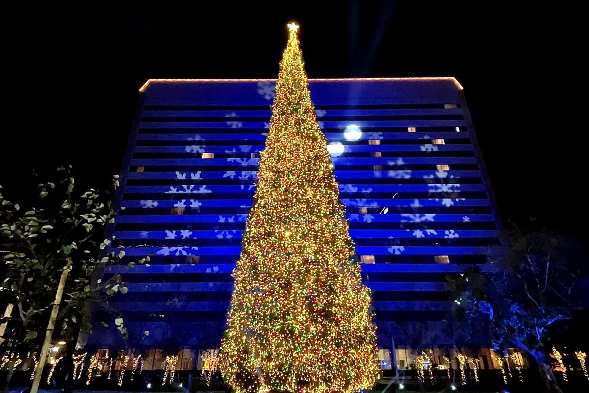 A Christmas tree, densely covered with lights, stands in front of a tall building with projections of snowflakes.