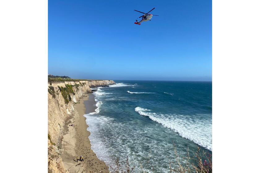 A kite surfer was rescued off a beach south of Davenport Landing.