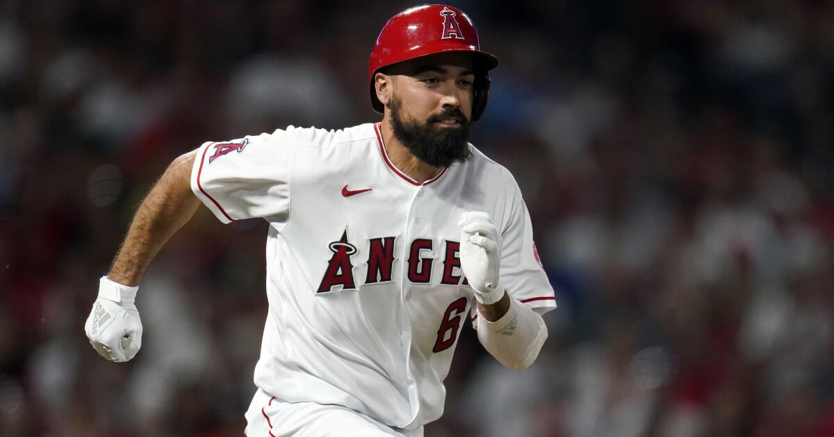 Anthony Rendon declines to comment after fan altercation, remains in Angels lineup