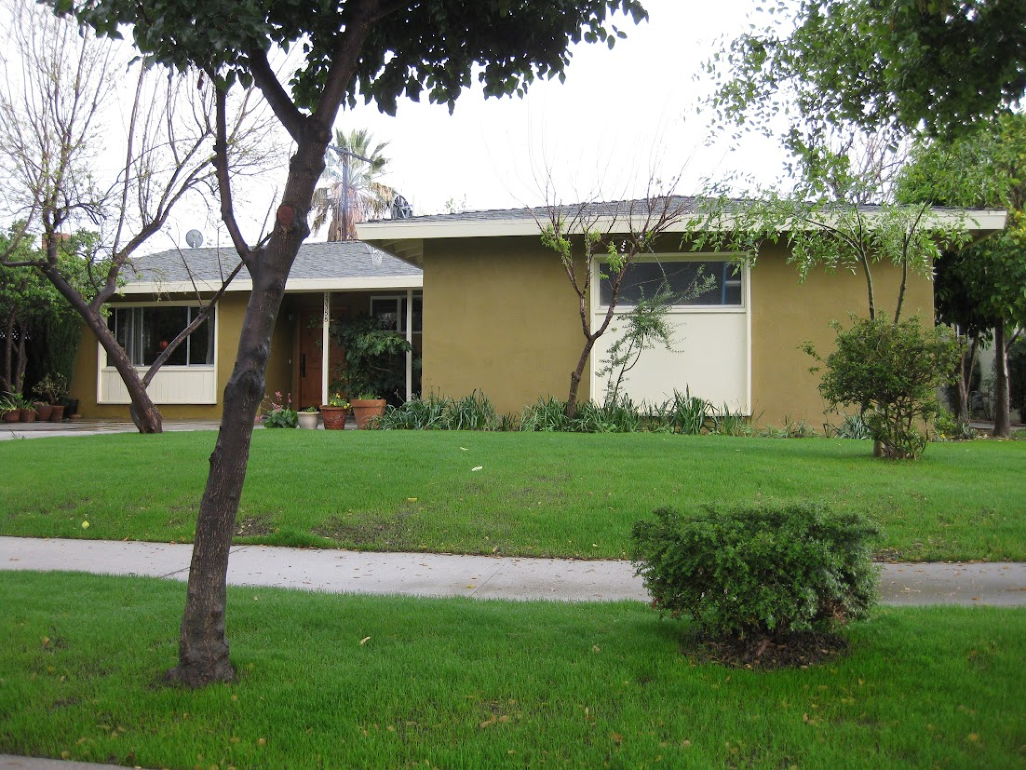 A green lawn in front of a mustard-colored suburban home 