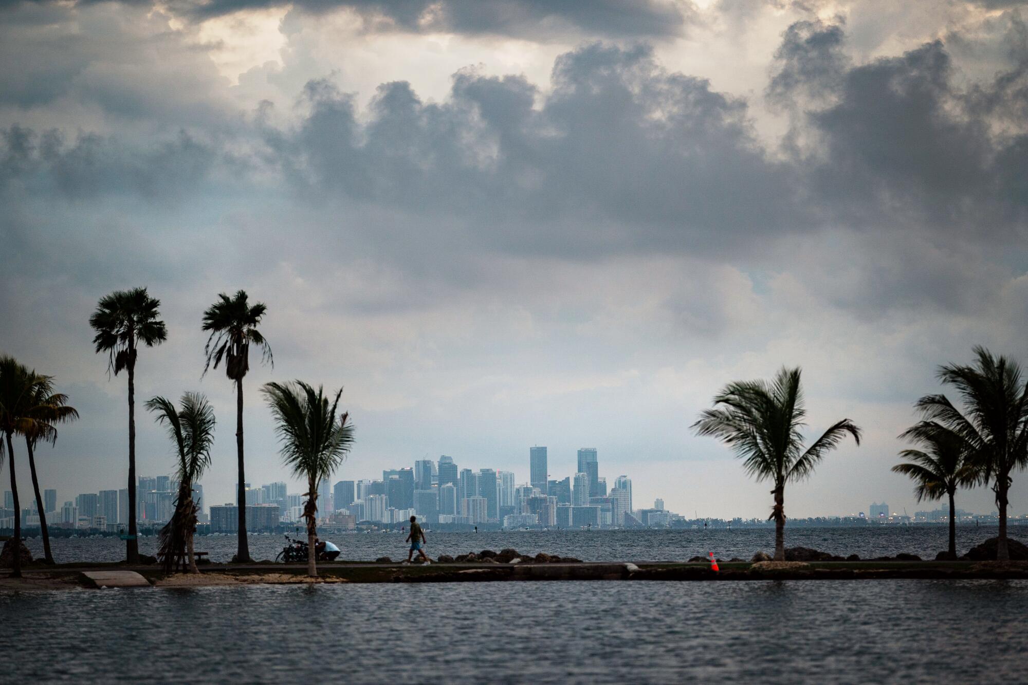 A lone person walks on a thin strip of land with palm trees surrounded by water. The Miami skyline is on the horizon.