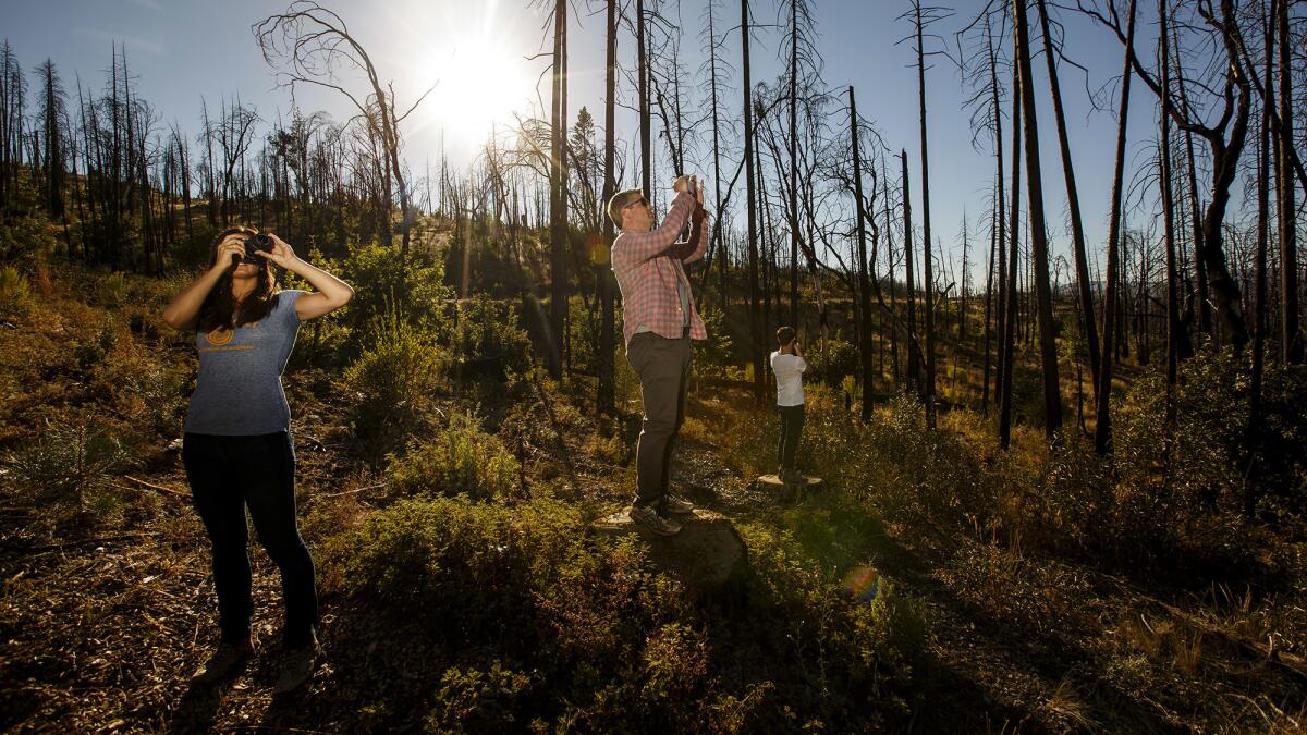 Leigh Madeira, left, and Zach Knight, center, two of the founders of Blue Forest Conservation, take photos of an area ravaged by 2013's massive Rim fire in the Stanislaus National Forest.