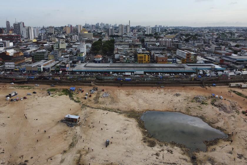 Parte seca del río Negro en el puerto de Manaus, estado de Amazonas, Brasil, el viernes 4 de octubre de 2024, en medio de una grave sequía. (AP Foto/Edmar Barros)