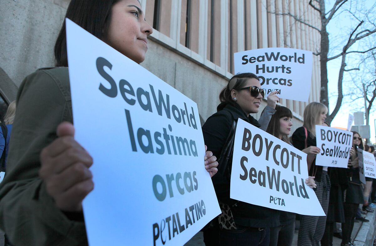 Demonstrators stand outside the courthouse in Pasadena on Feb. 3 as they voice support for 16 people arrested in connection with a protest against SeaWorld's float in the Tournament of Roses Parade.