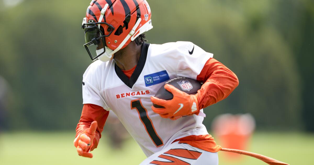 100 Questions: The fantasy outlook for the Cincinnati Bengals