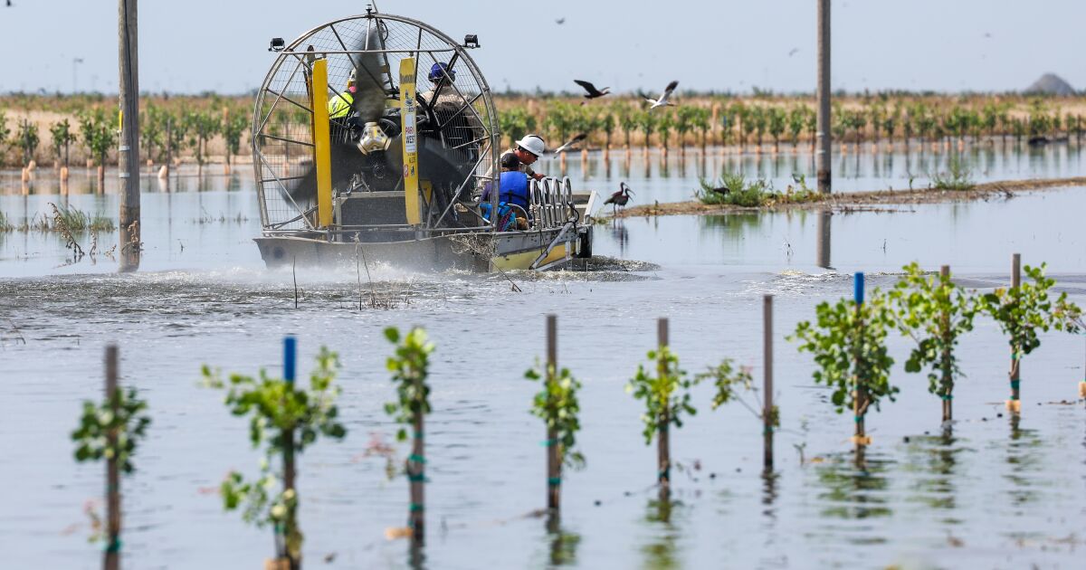 Un agriculteur californien fait face à une épreuve d’inondation dans une ferme de pistaches
