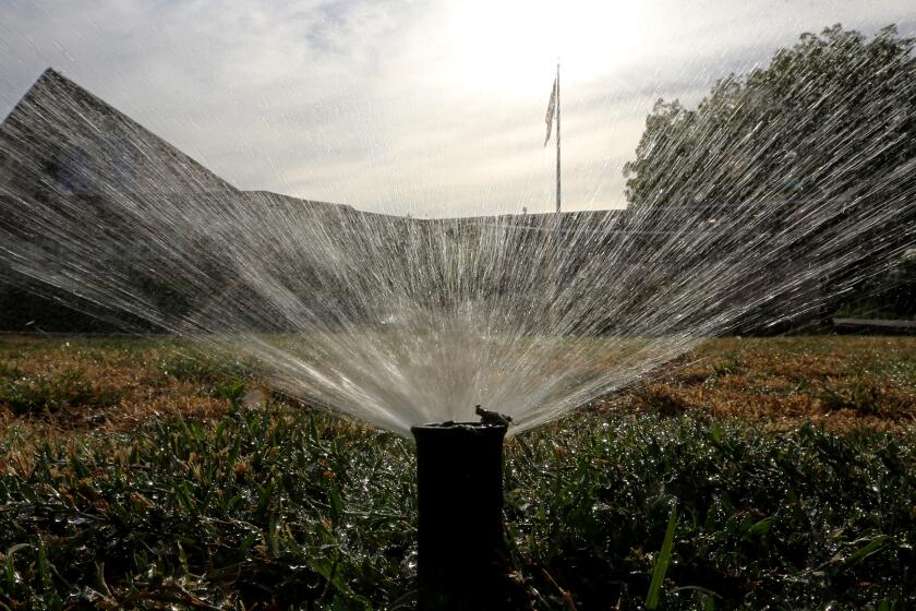 Sprinklers water a lawn in Sacramento on July 15, 2014. Photo by Rich Pedroncelli, AP Photo