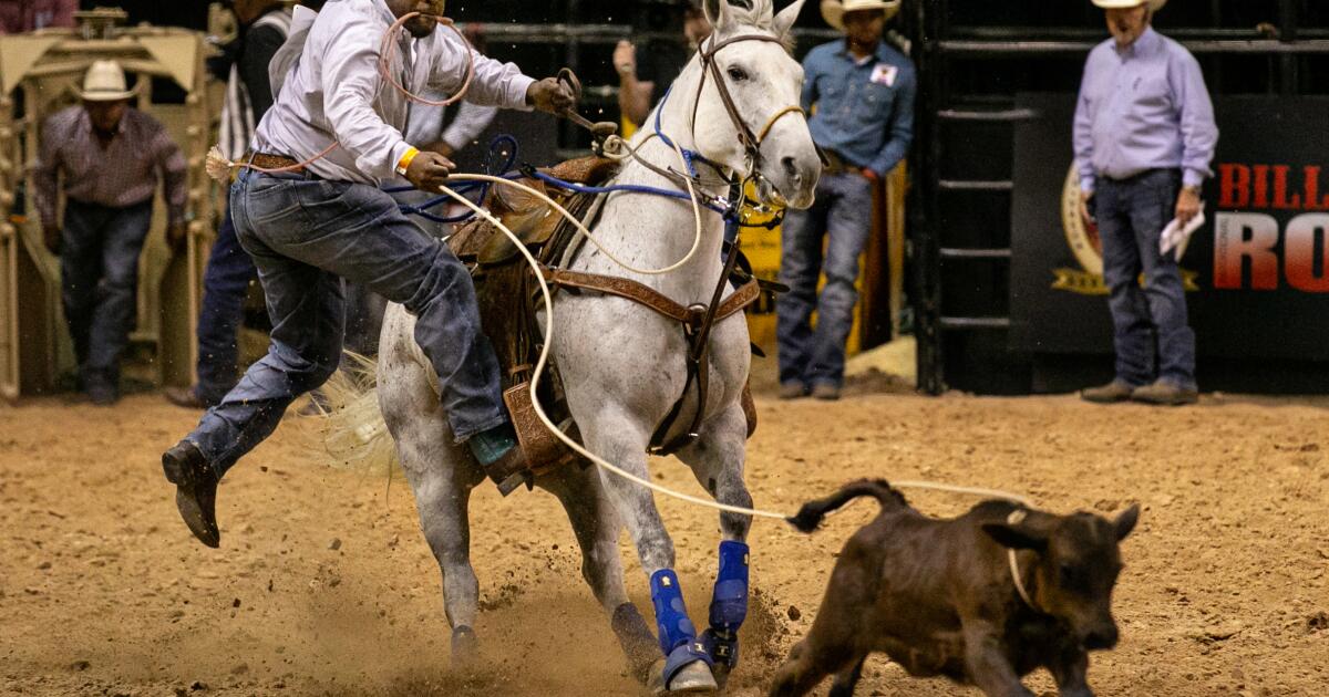 Banning certain rodeo equipment isn't enough to stop cruelty Los